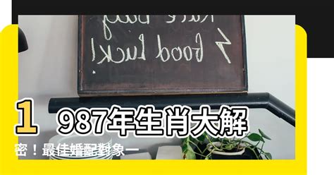 1987屬什麼|【1987 屬什麼】1987年屬什麼？你的最佳伴侶是哪個生肖？